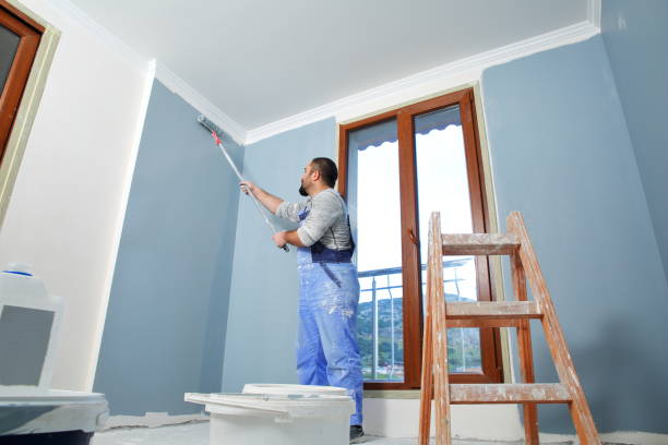 Best Mold-Related Health Consultation  in Pawcatuck, CT