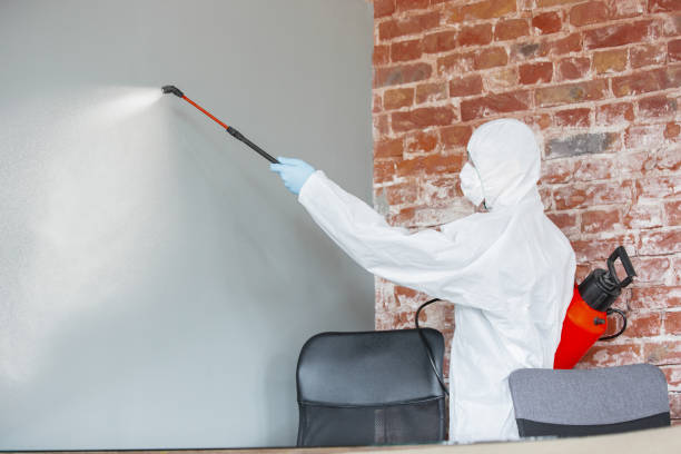 Best Mold Removal for HVAC Installations  in Pawcatuck, CT