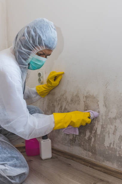 Best HVAC Mold Inspection and Cleaning  in Pawcatuck, CT