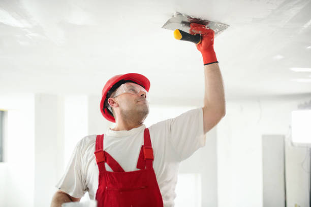 Best Mold-Related Health Consultation  in Pawcatuck, CT