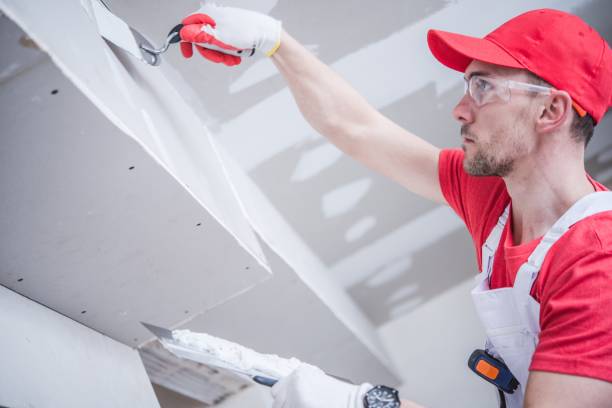 Best Environmental Consulting for Mold Prevention  in Pawcatuck, CT